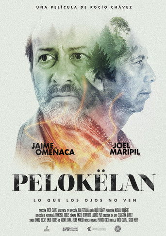 Pelokëlan movie poster