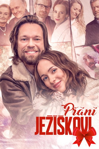 Přání Ježíškovi movie poster