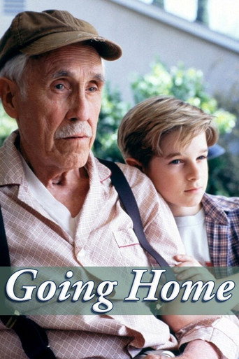 Going Home movie poster