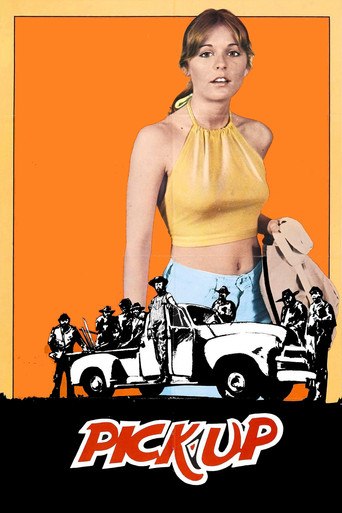 Pick-up movie poster
