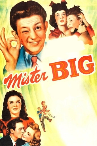 Mister Big movie poster
