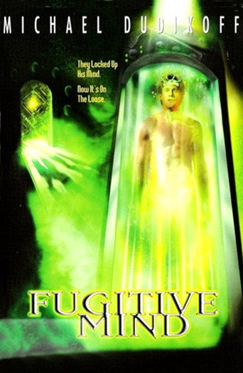 Fugitive Mind movie poster