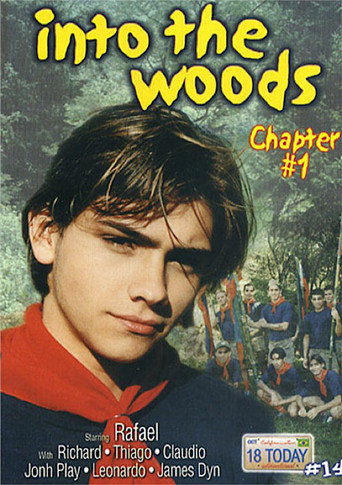 18 Today International 14: Into the Woods 1 movie poster