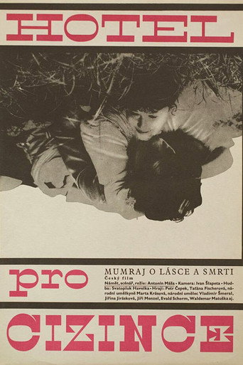 Hotel for Strangers movie poster