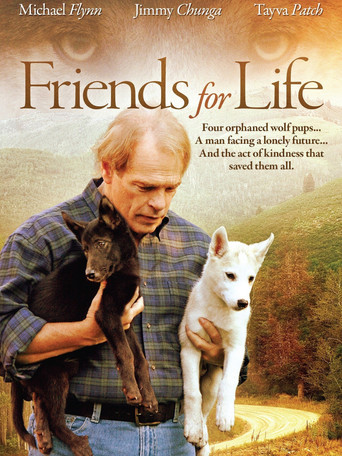 Friends for Life movie poster