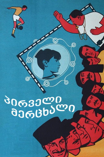 First Swallow movie poster
