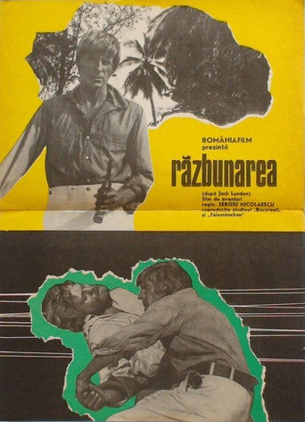 The Revenge movie poster