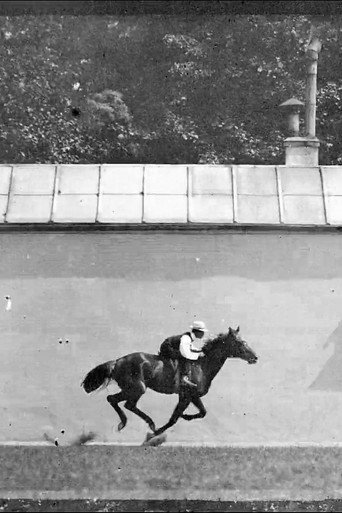 Cheval Noir Monté, Galop movie poster