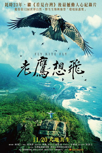 Fly, Kite Fly movie poster