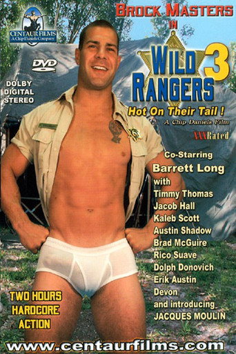 Wild Rangers 3: Hot On Their Tail! movie poster