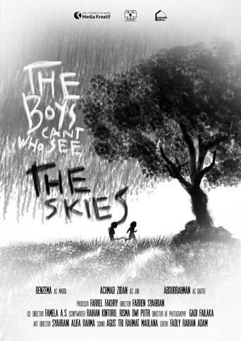 The Boys Who Can't See The Skies movie poster