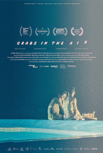 Crabs in the Air movie poster