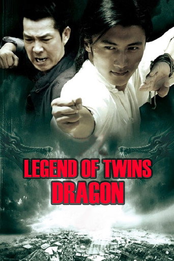 Legend of Twin Dragons movie poster