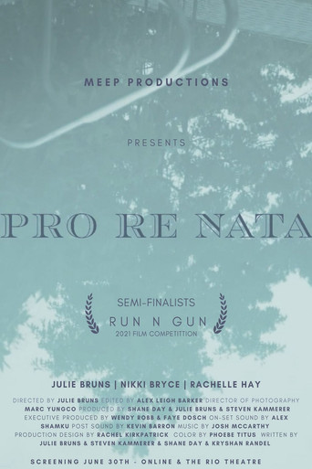 Pro Re Nata movie poster