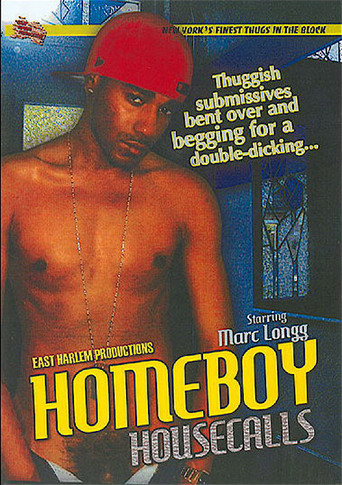 Homeboy Housecalls movie poster