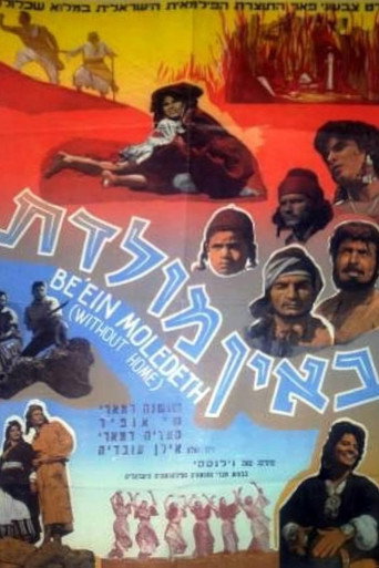 Without Home movie poster