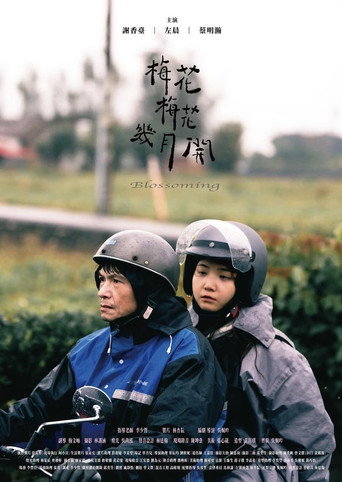 梅花梅花幾月開 movie poster