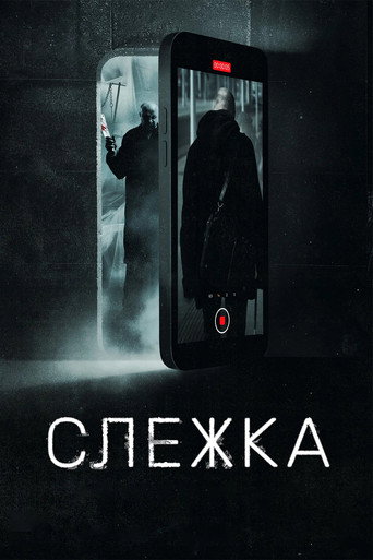 Surveillance movie poster
