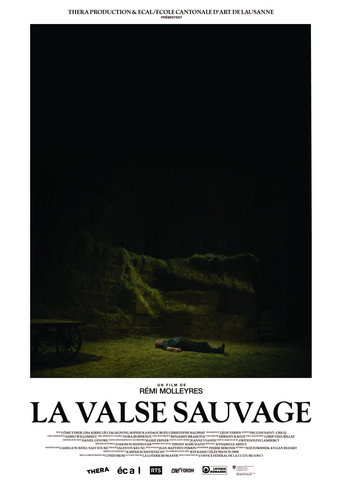 La Valse sauvage movie poster