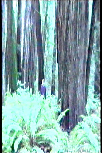 Dreamer movie poster