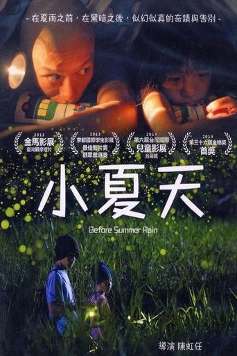 Before Summer Rain movie poster