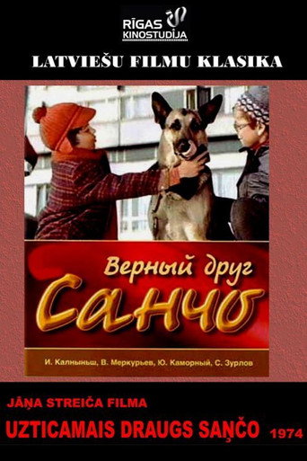 Faithful Friend Sancho movie poster