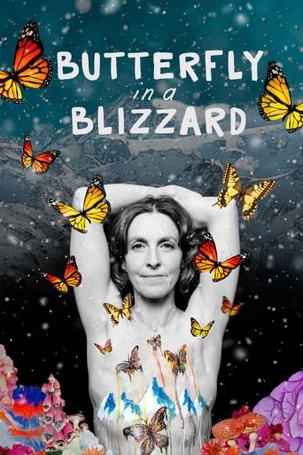 Butterfly in a Blizzard movie poster