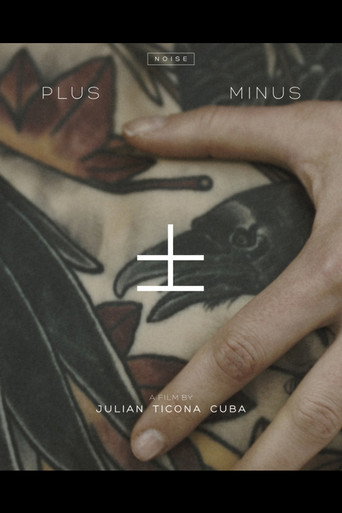 PLUS MINUS movie poster