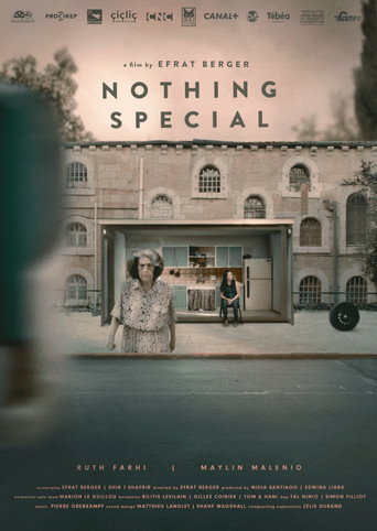 Nothing Special movie poster