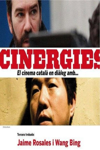 Cinematic Correspondences: Jaime Rosales - Wang Bing movie poster
