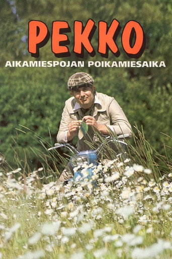 Pekko aikamiespojan poikamiesaika movie poster