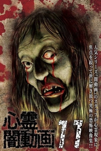 Psychic Darkness Video 11 movie poster