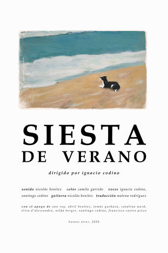 Siesta de verano movie poster