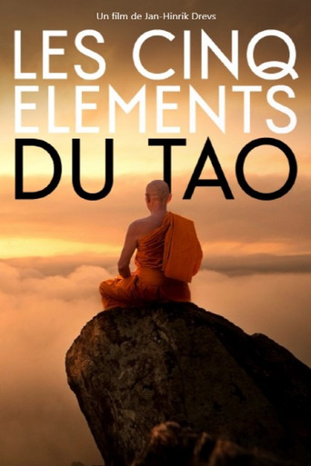 Balance of the Five Elements movie poster