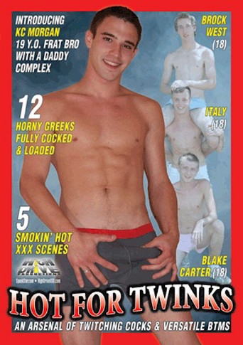 Hot for Twinks movie poster