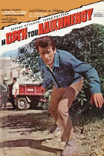 Η οργή του αδικημένου movie poster