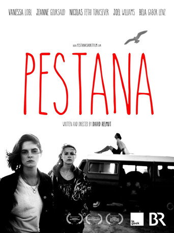 Pestana movie poster