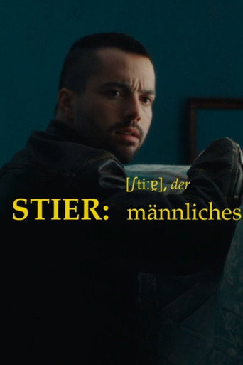 Stier movie poster