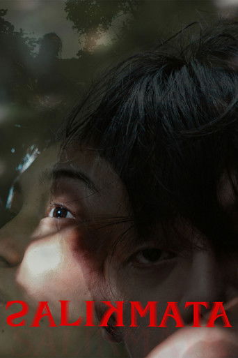 Salikmata movie poster