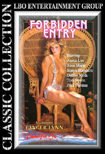 Forbidden Entry movie poster