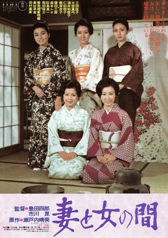 Between Women and Wives movie poster