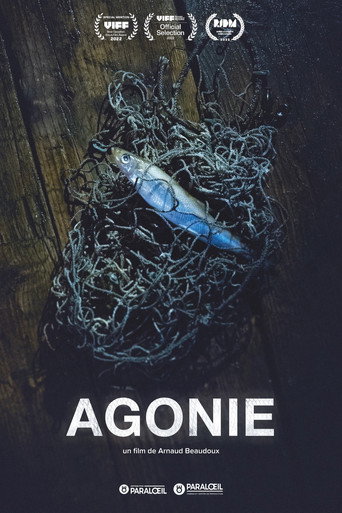 Agony movie poster