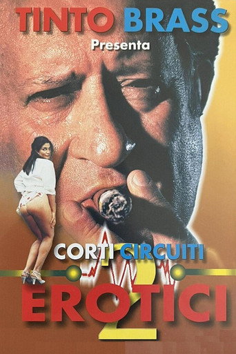 Erotic Short Circuits Vol.2 movie poster