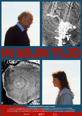 In My Time movie poster