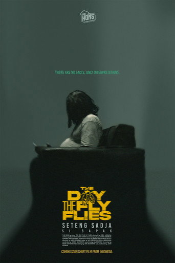 The Day The Fly Flies movie poster