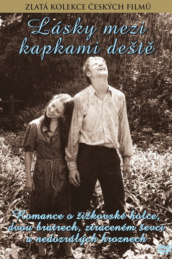 Love Between the Raindrops movie poster