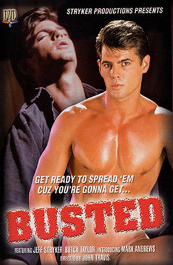 Busted movie poster