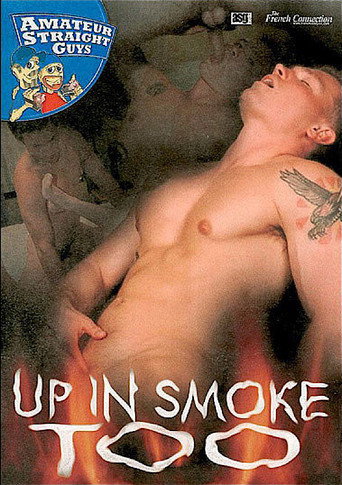 Up in Smoke Too movie poster