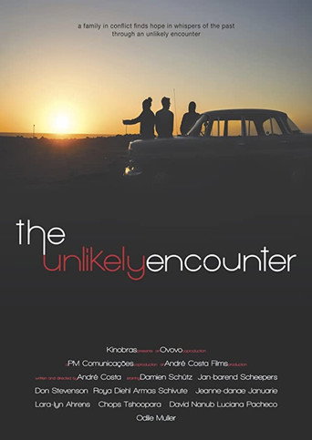 The Unlikely Encounter movie poster