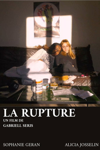 The breakup movie poster